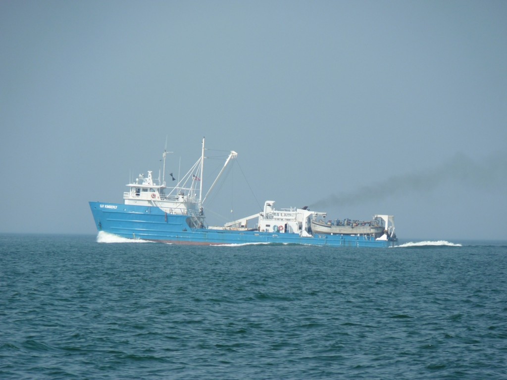 Cyan and White Ship