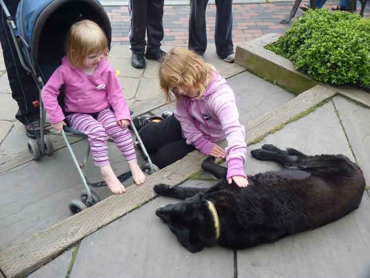Girls Petting the Resting Dog outside a Provincetown Shop